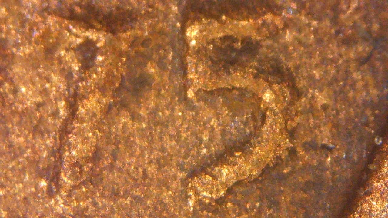 1975 D Bumps #12.jpg