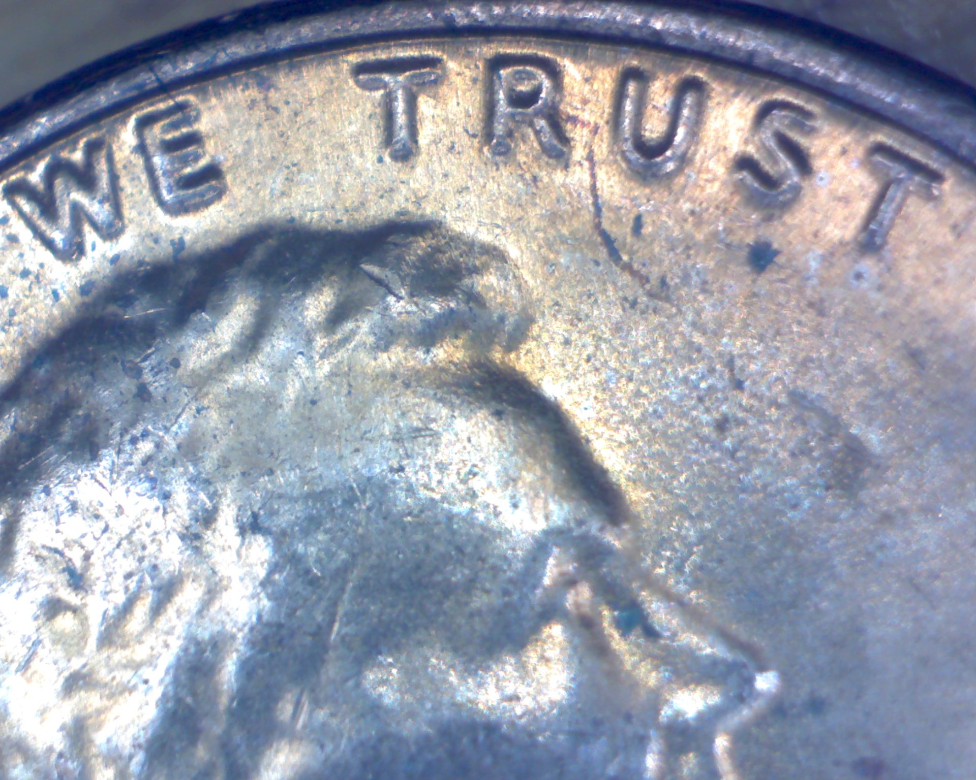 1975Dwetrust.jpg
