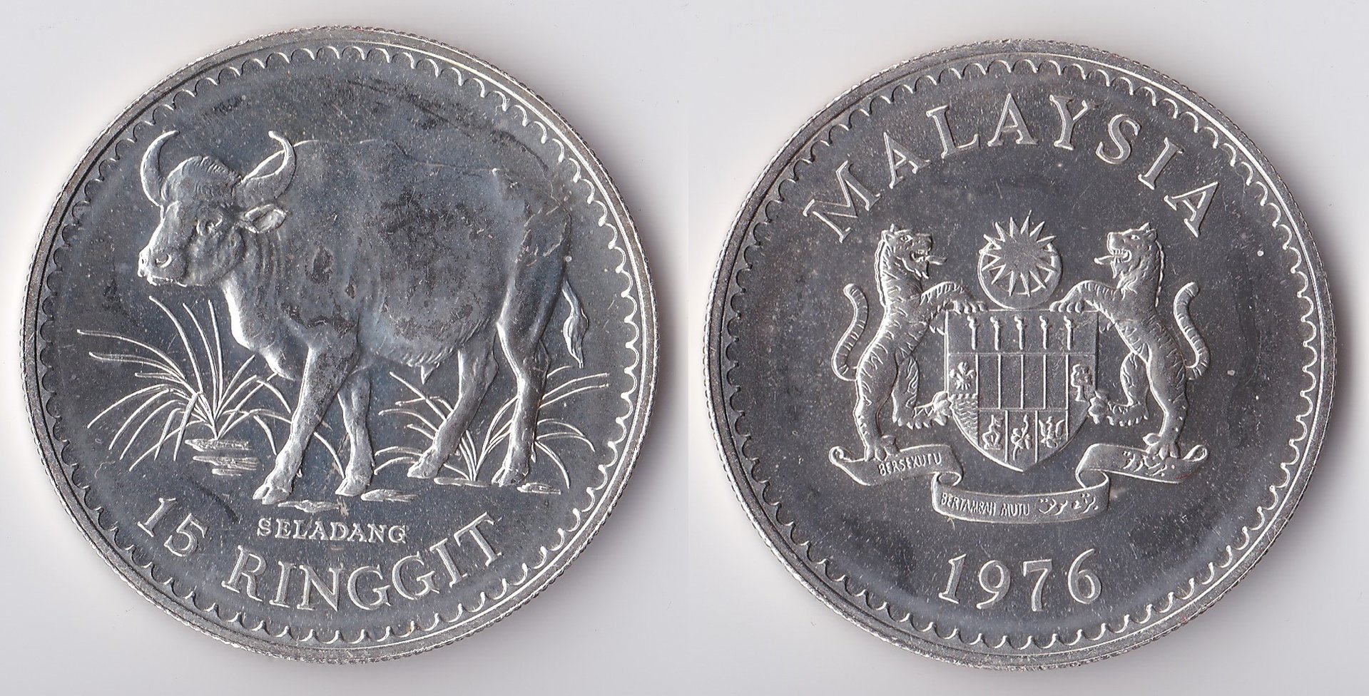 1976 malaysia 15 ringgit.jpg
