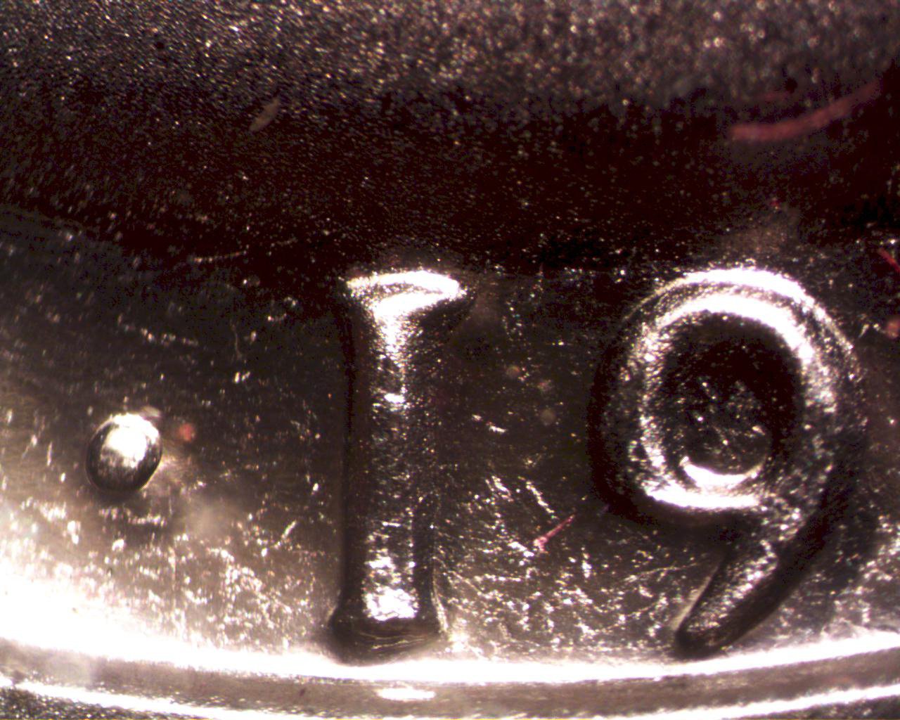 19763.jpg