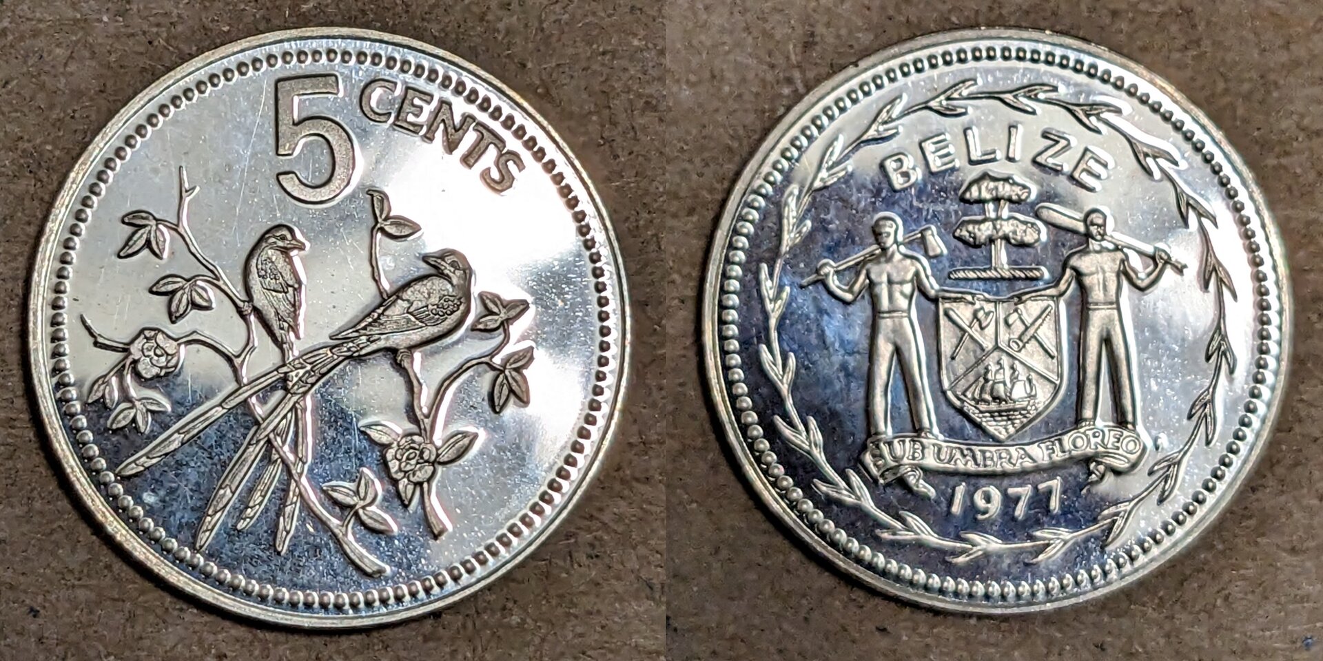 1977 belize 5 cents.jpg