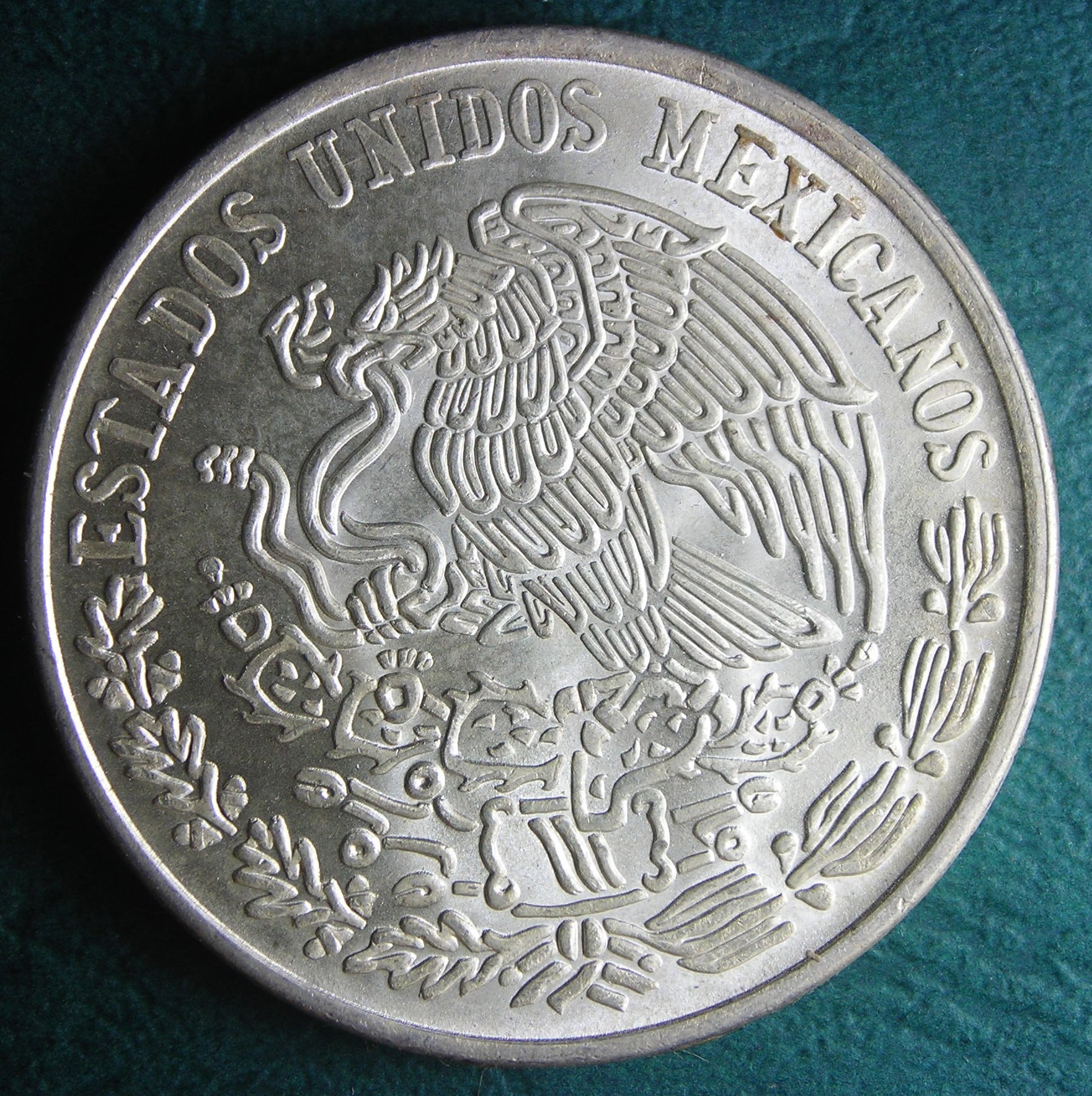 1977 MX 100 p rev.JPG