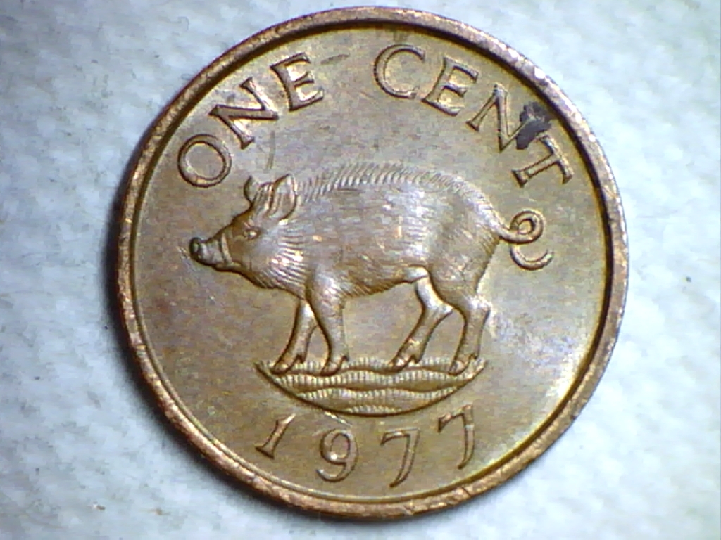 1977-rev.jpg