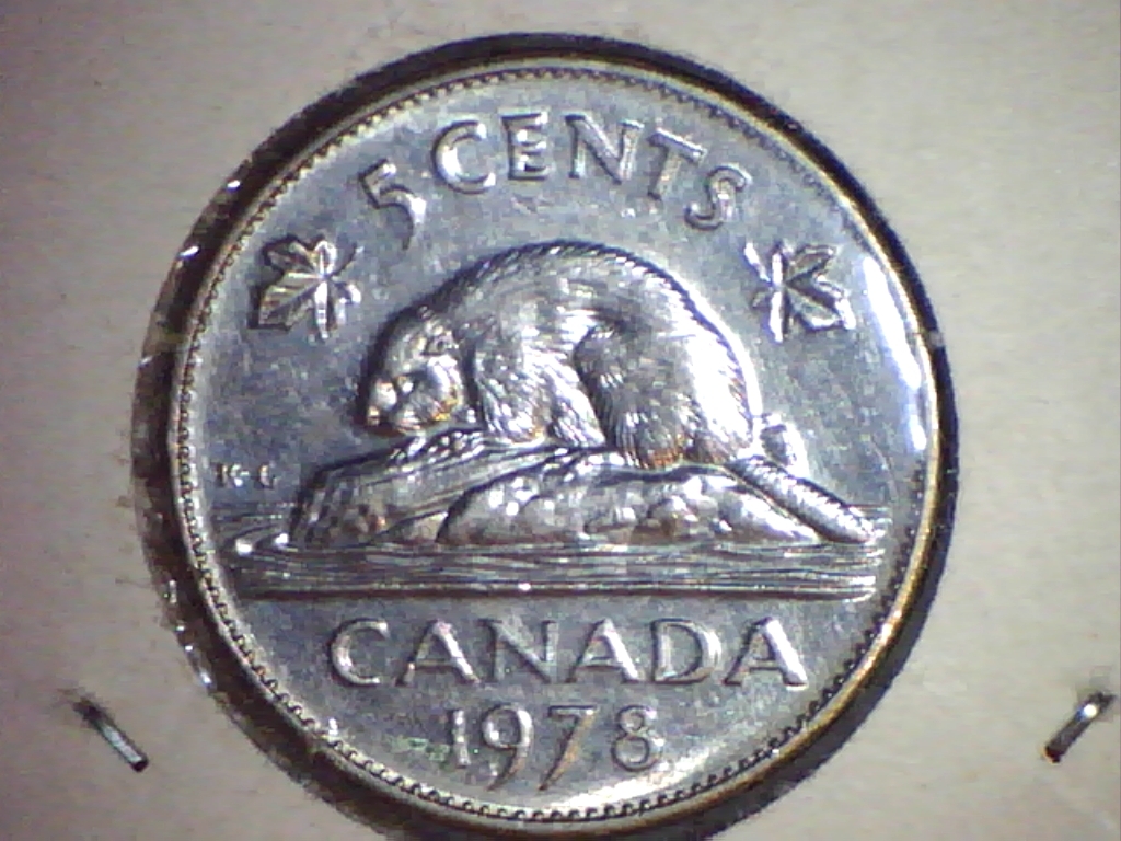 1978-REV.jpg