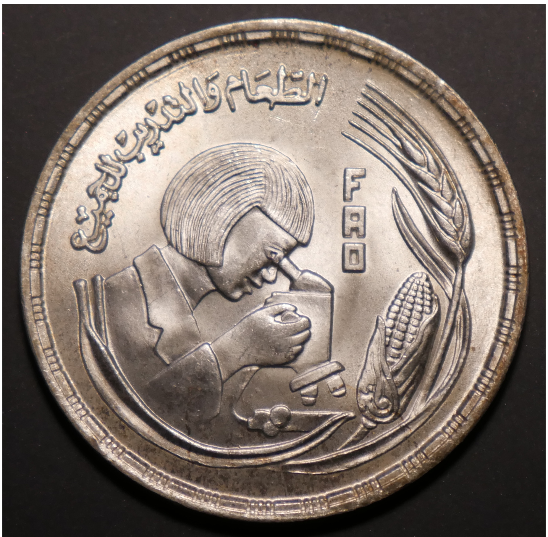1978Egypt1Pound_01.png