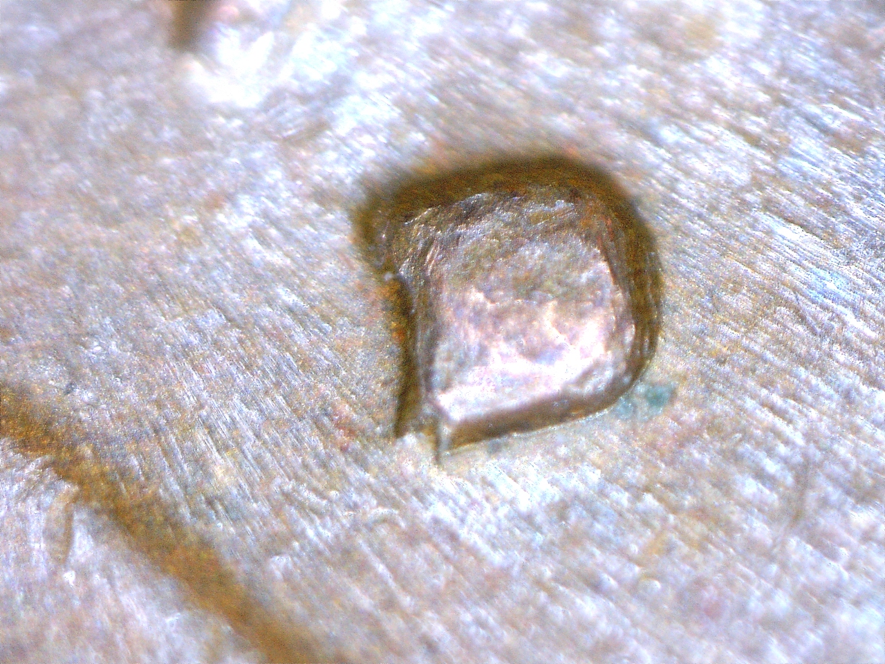1979 D Cent RPM (3).jpg