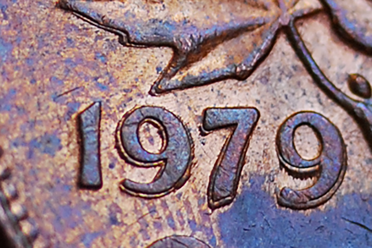1979crop1.jpg