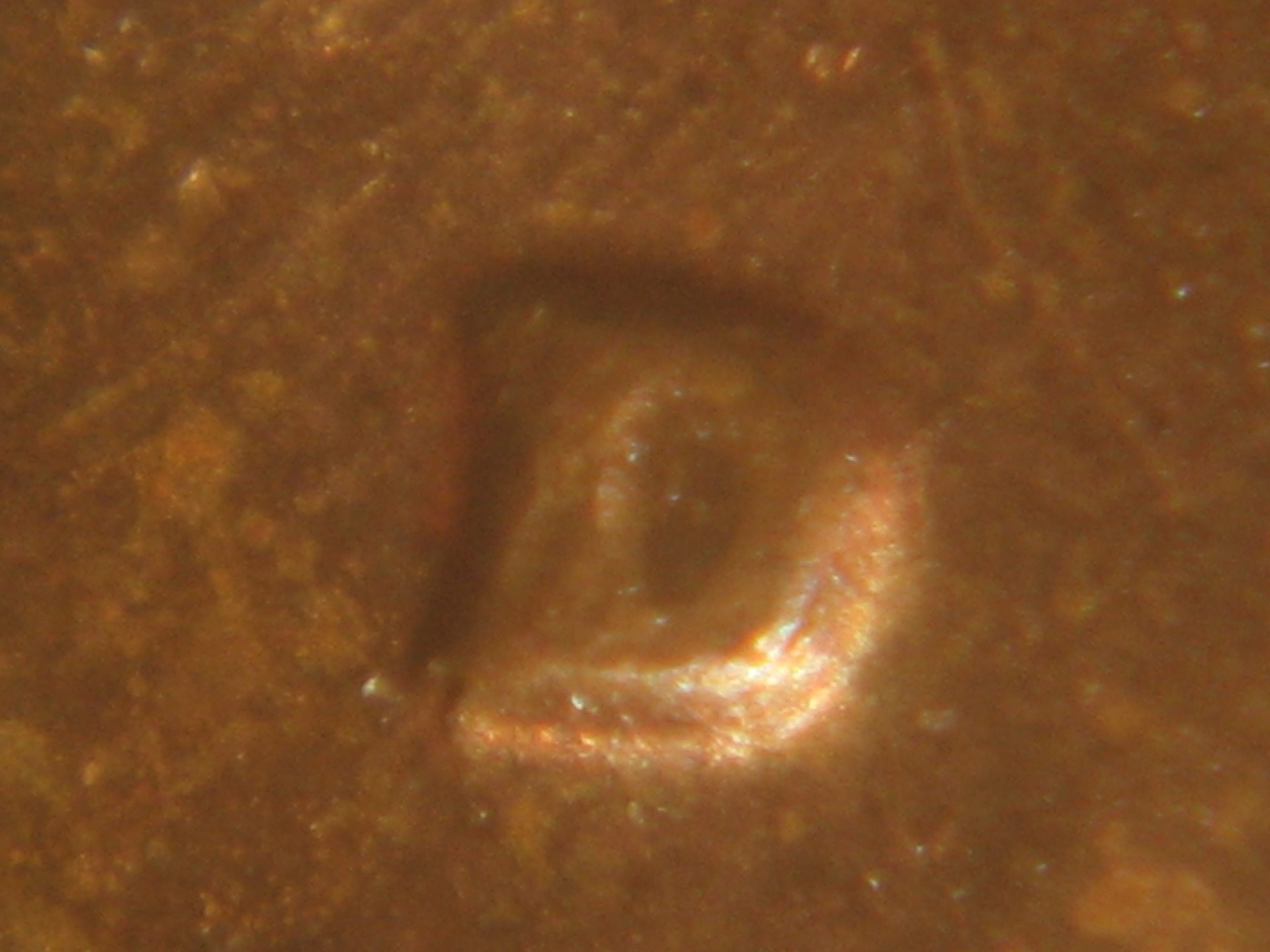 1979D OMM.JPG