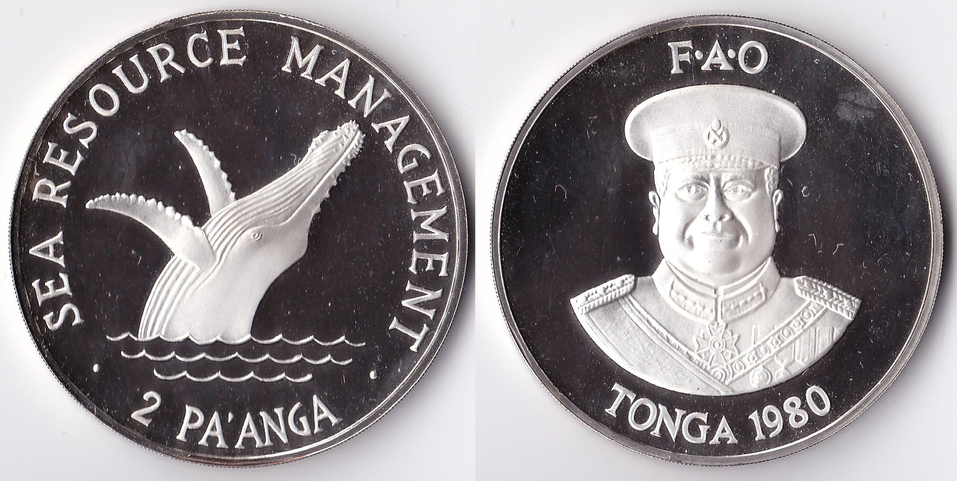 1980 tonga 2 pa anga.jpg