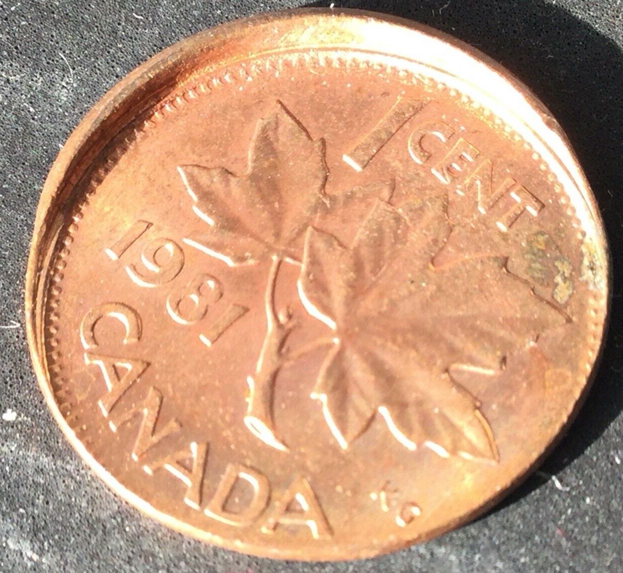 1981 A.jpg