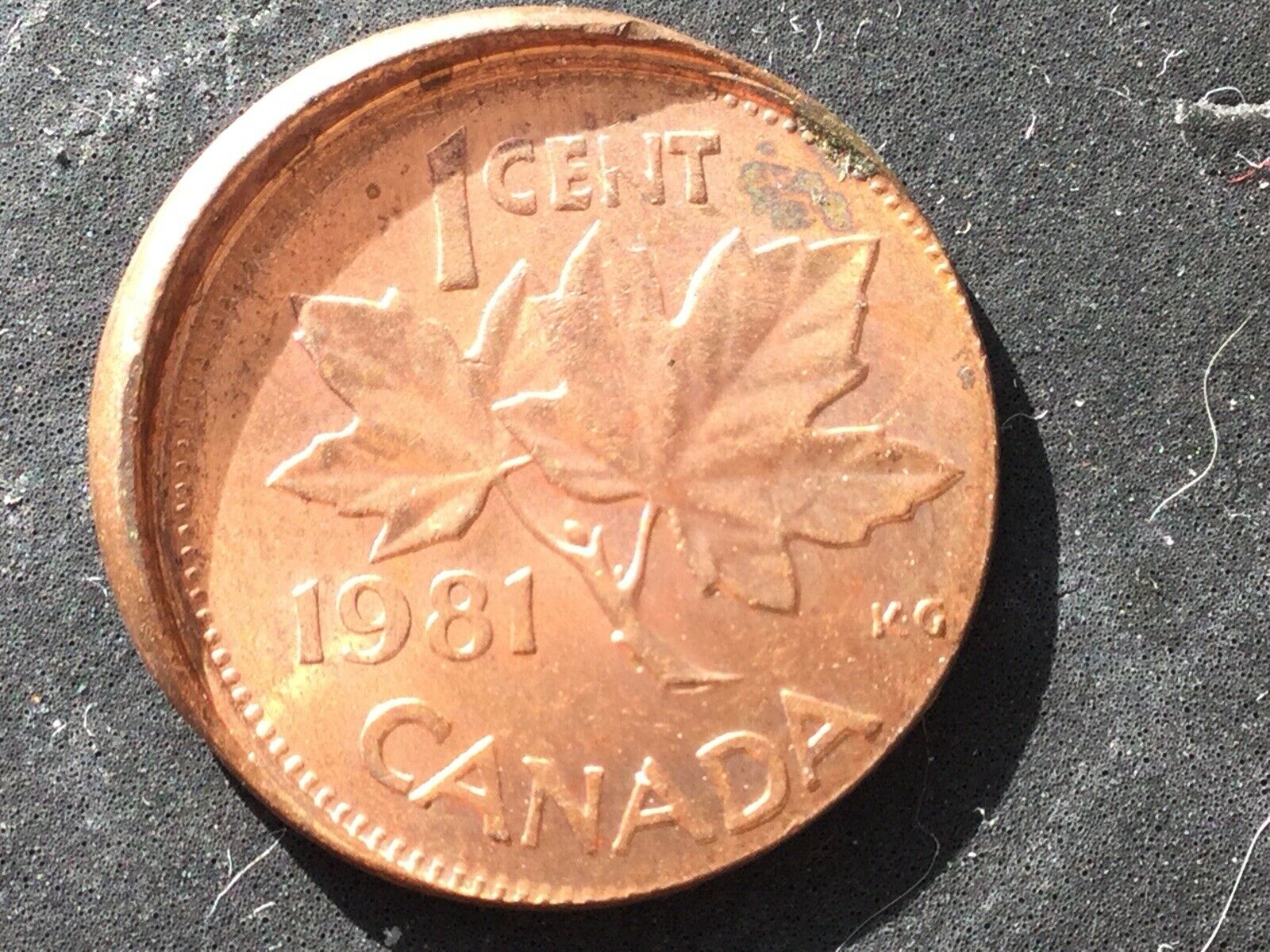 1981 C.jpg