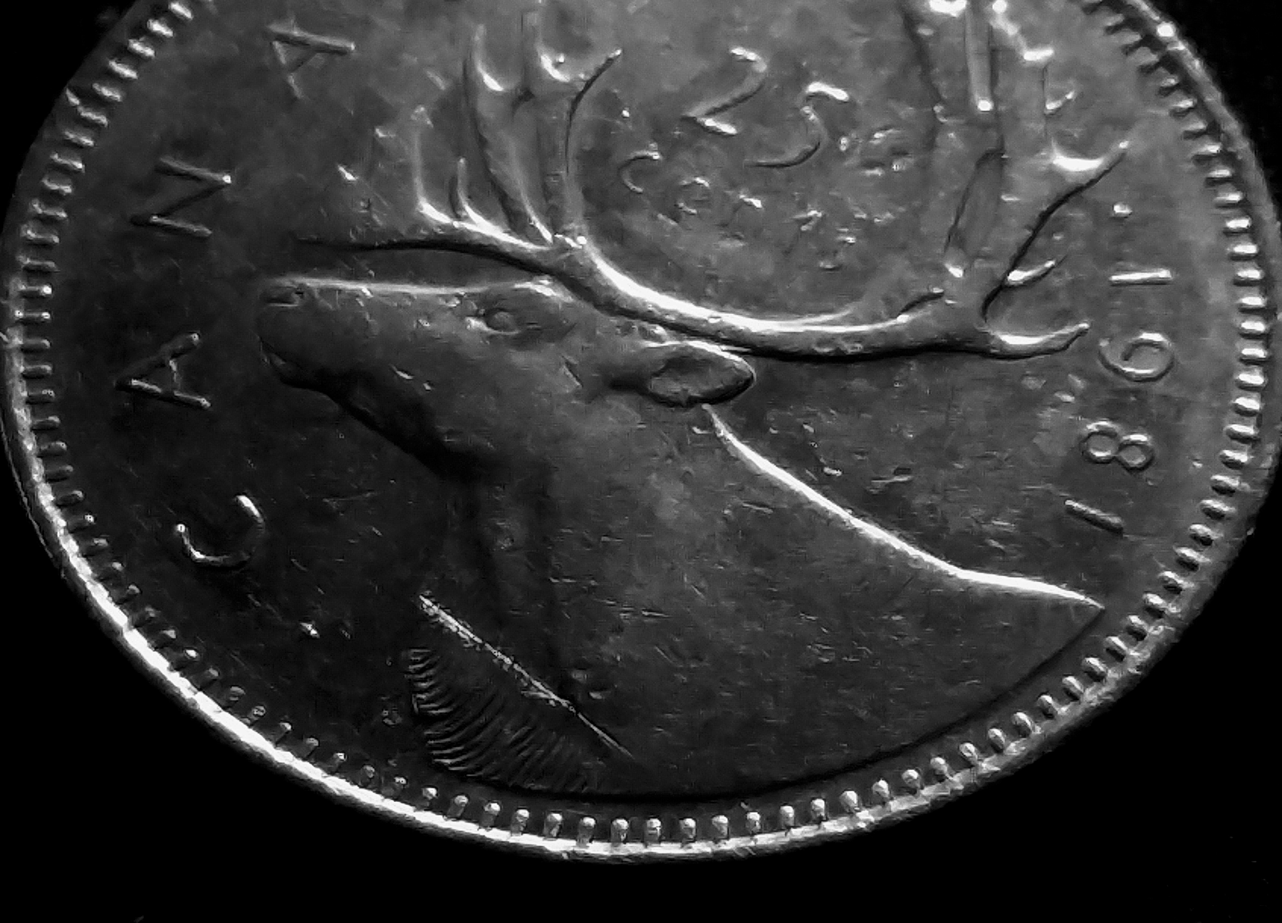 1981 Canada 25 Cent Pic 2 JM.png