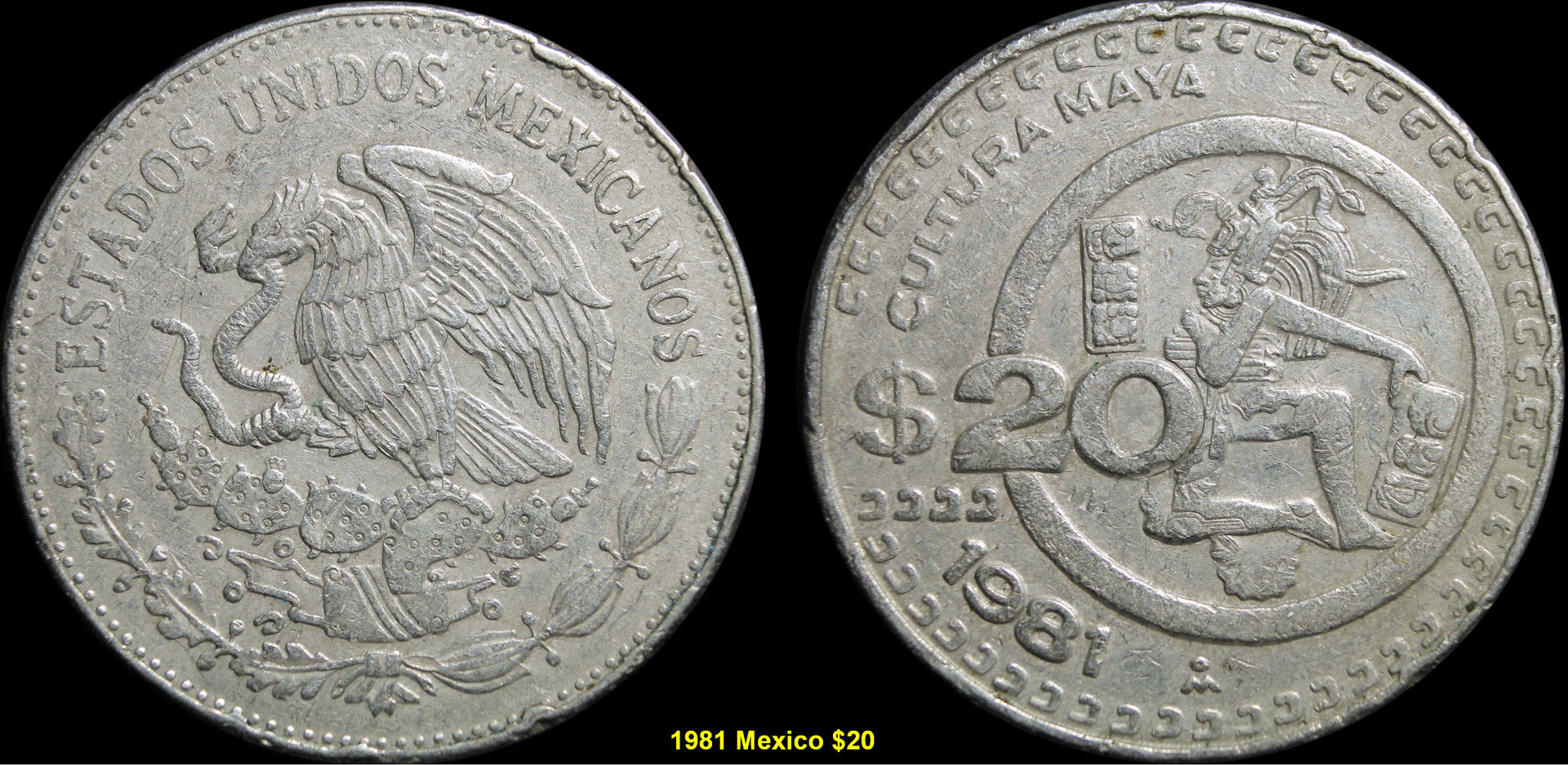 1981.jpg