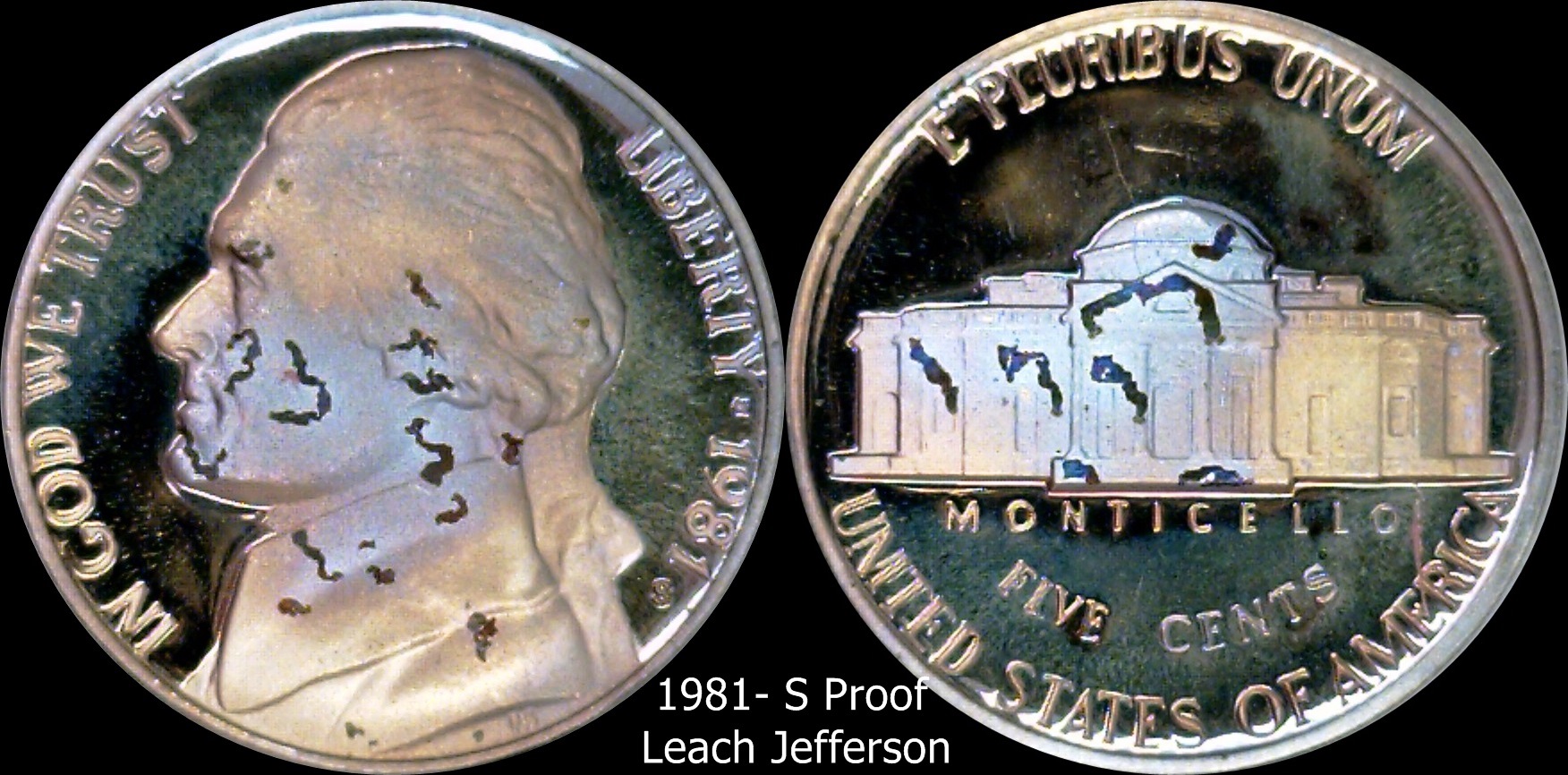 1981 leaches.jpg