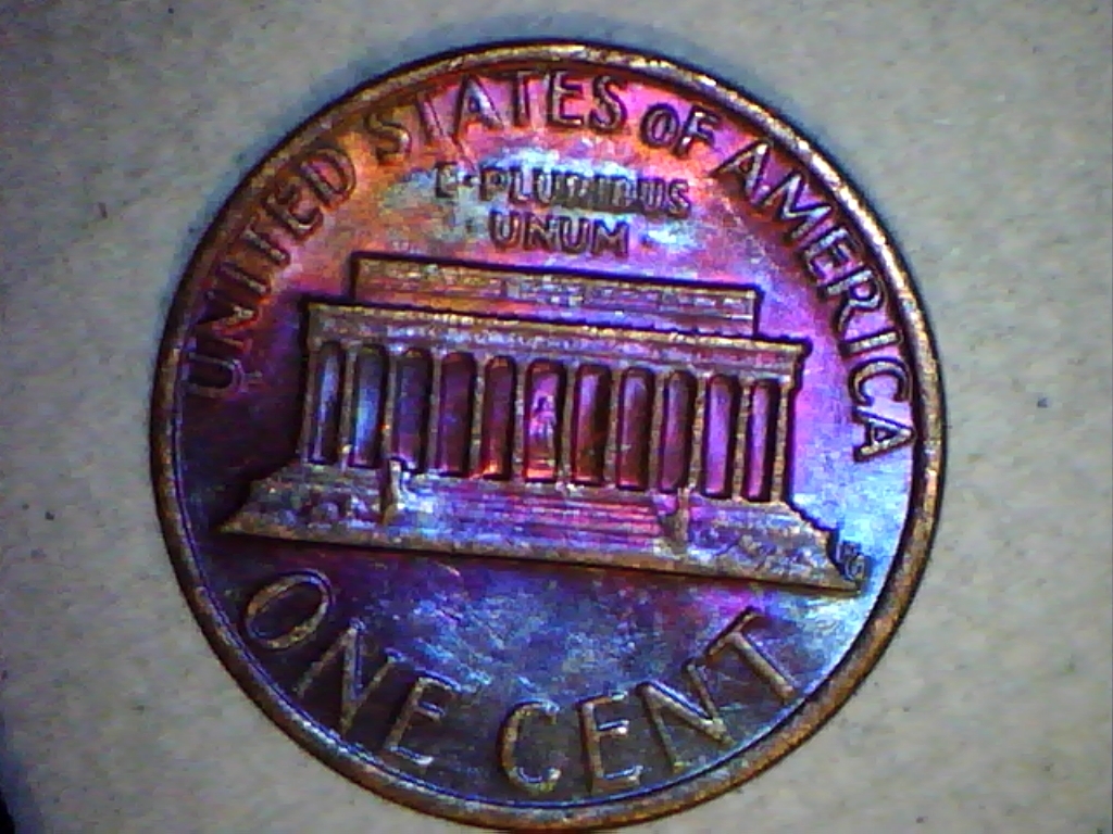 1981-rev.jpg