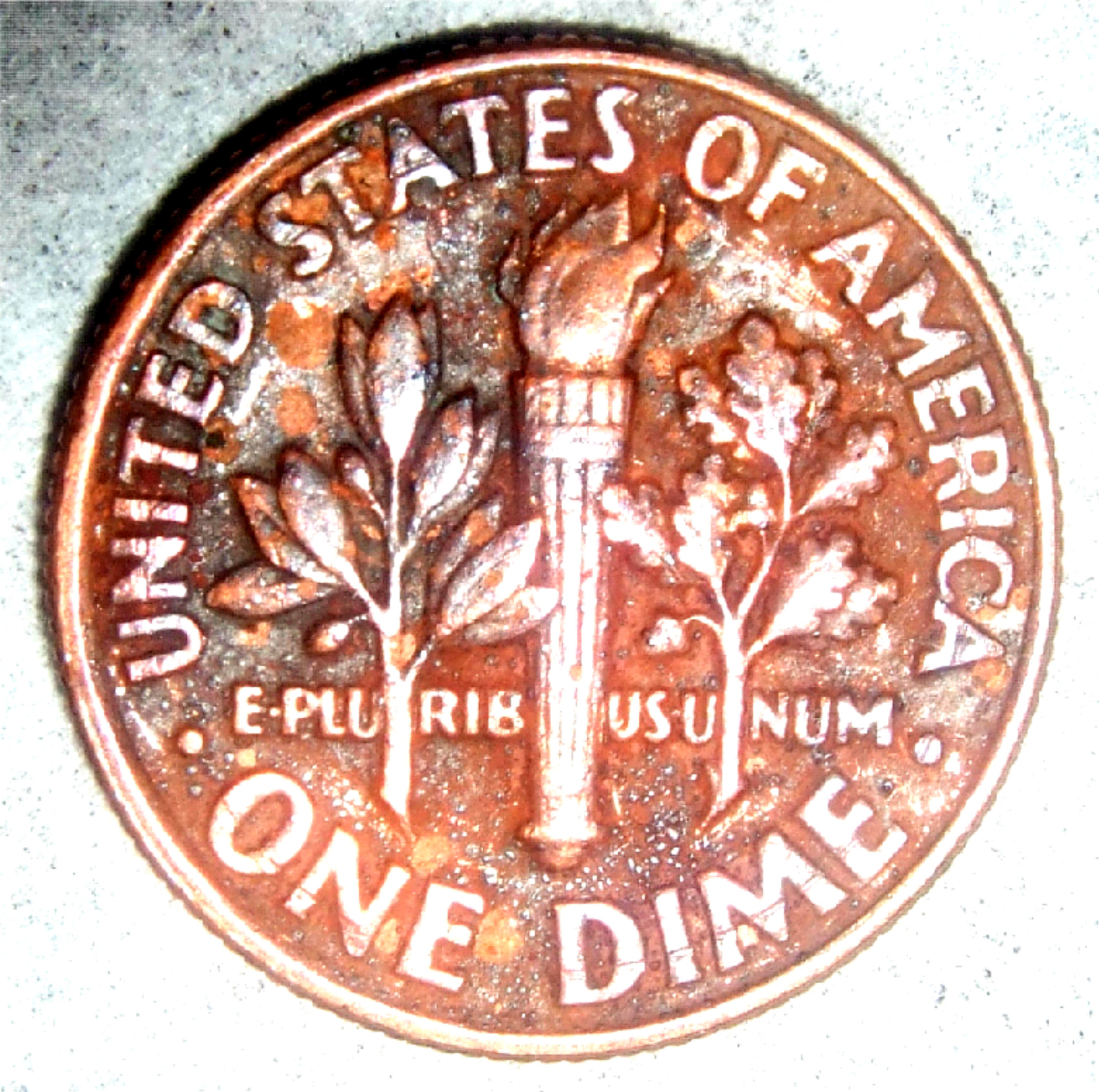 1981 silvercopper reverse maacro.jpg