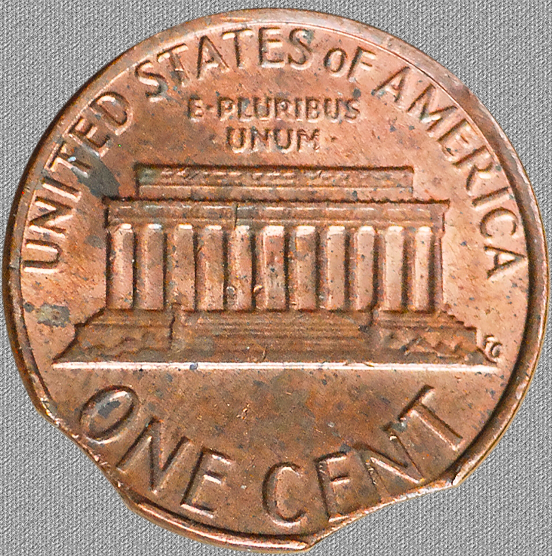 1981fullrev.jpg