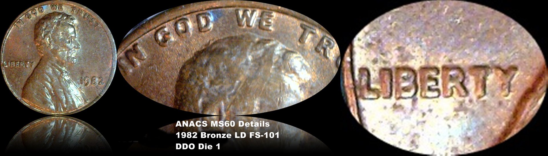 1982 Bronze LD FS-101 DDO-001 ANACS MS60 Details.jpg