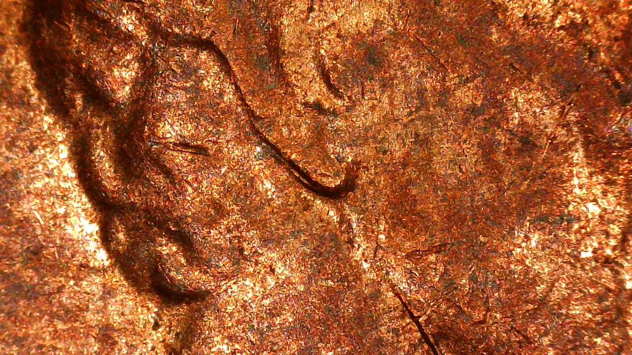 1982 D Copper Ear Lobe Anomaly.2.jpg