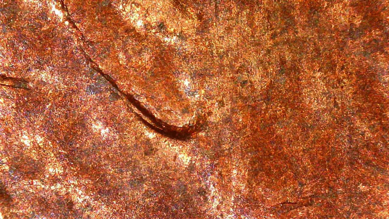 1982 D Copper Ear Lobe Anomaly.3.jpg