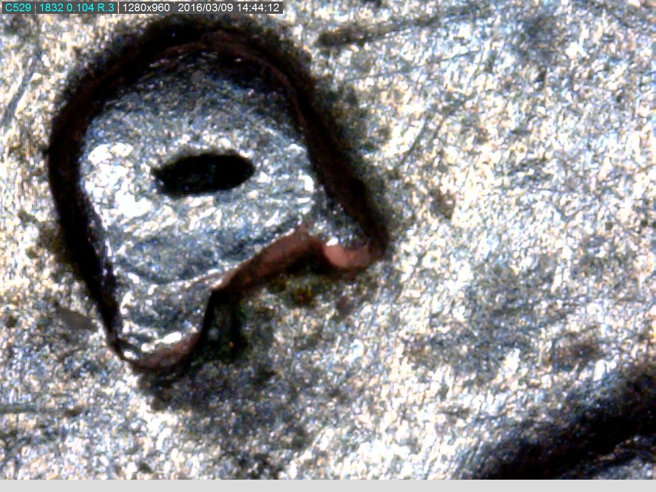 1982 D quarter D D 3.jpg