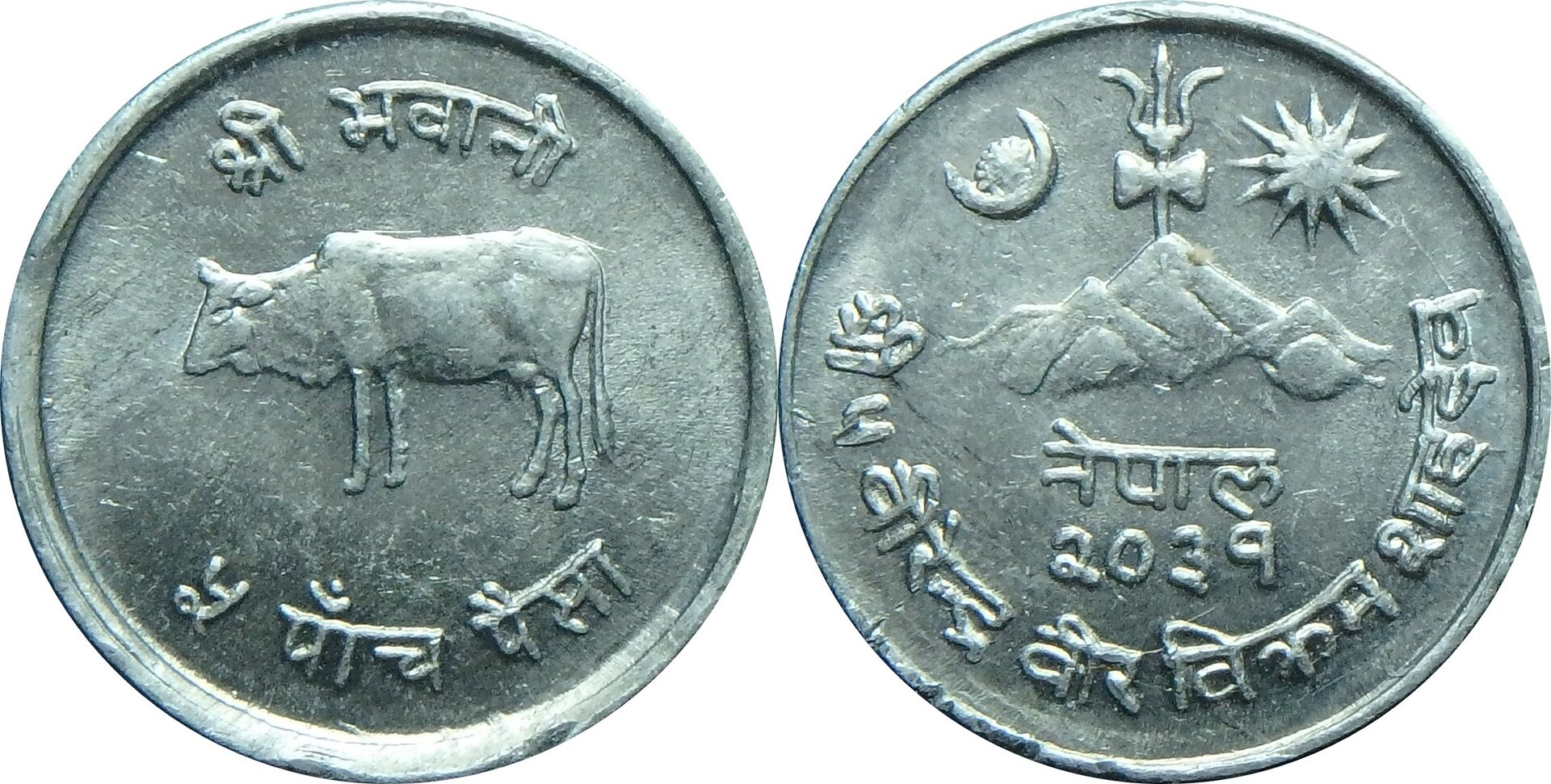 1982 NP 5 p.jpg