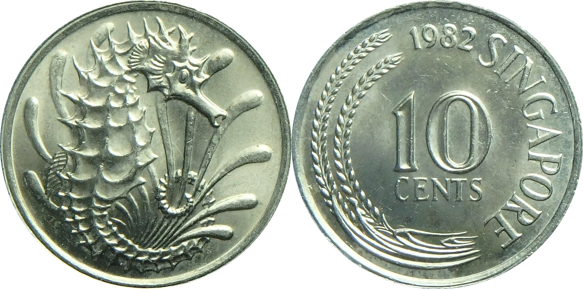 1982 SG 10 c.jpg