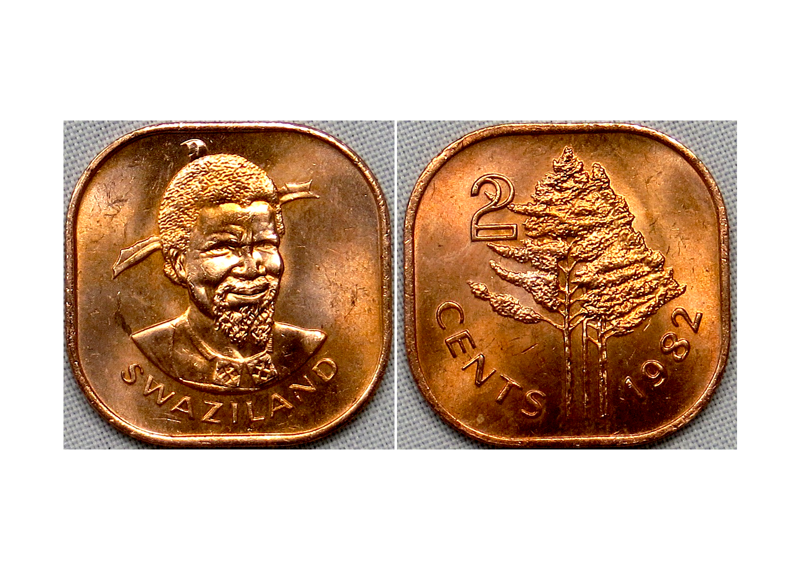 1982 Swaziland.png