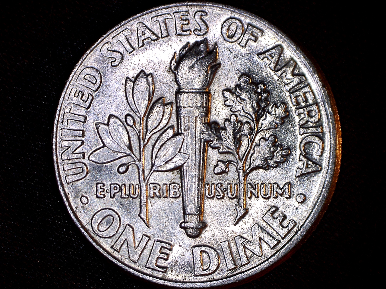 19825185041478.jpg