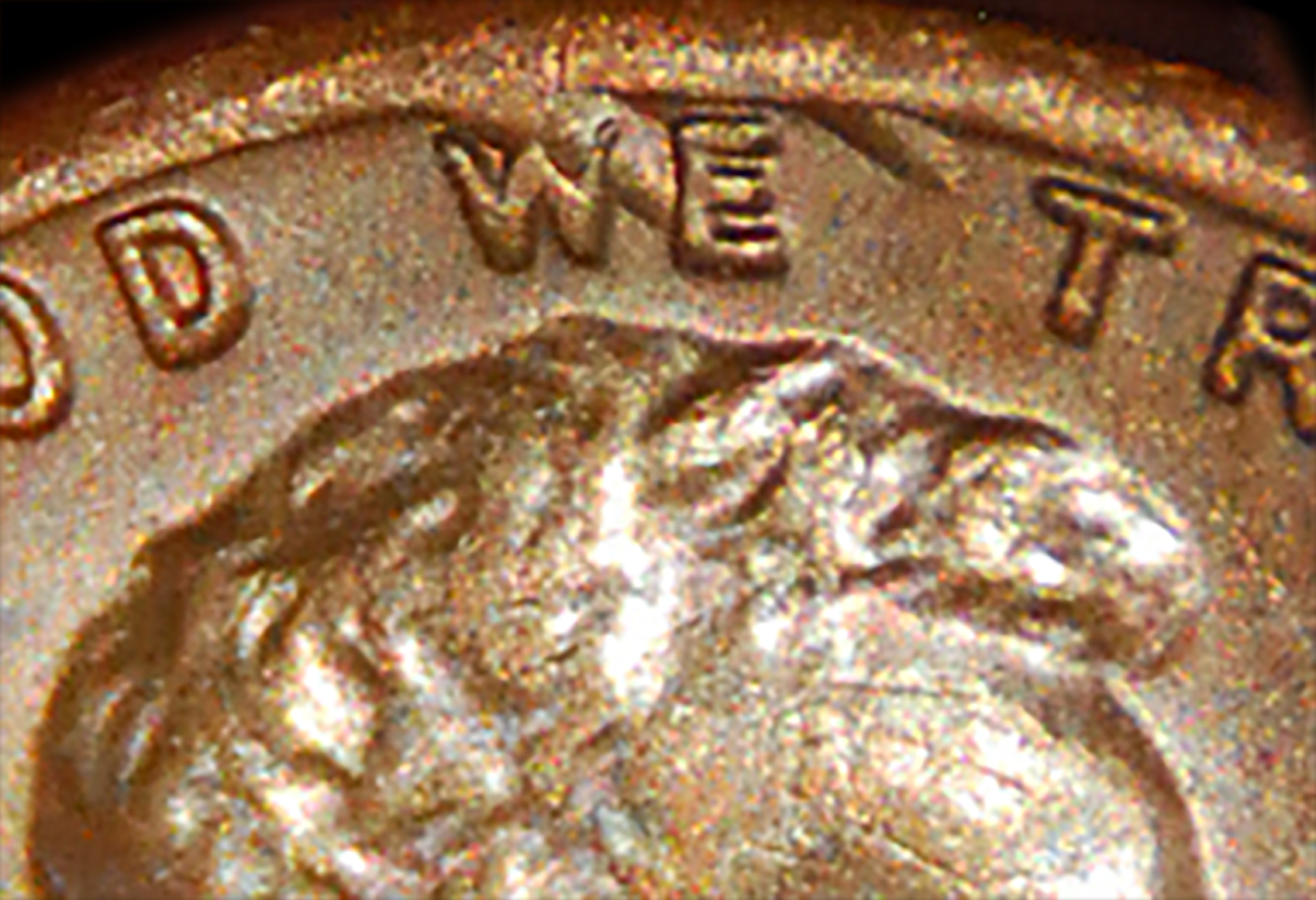 1982crop.jpg