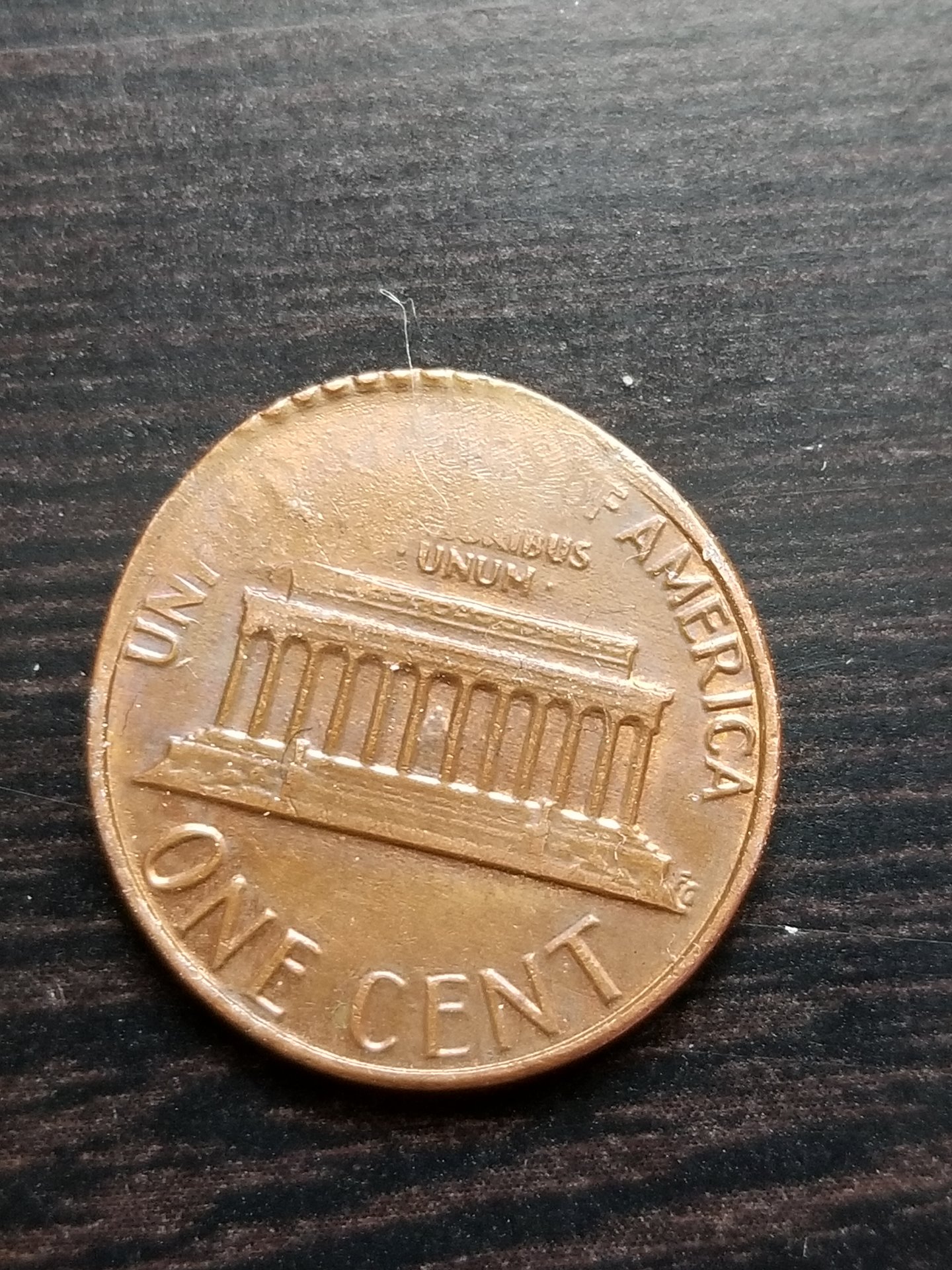1983 back.jpg