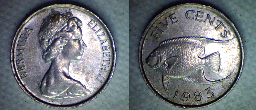 1983-horz.jpg