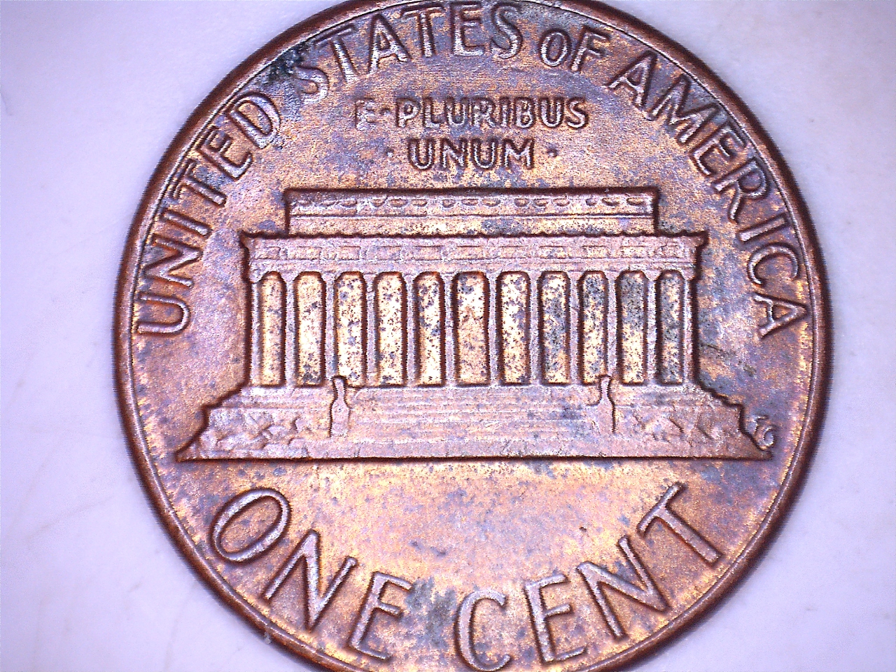 19834.jpg