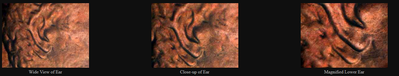 1984 double ear lincoln.PNG