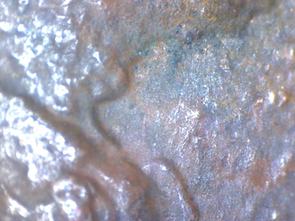 1984 Doubled Ear Variety (10).jpg