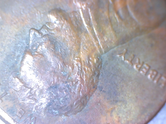 1984 Doubled Ear Variety (4).jpg