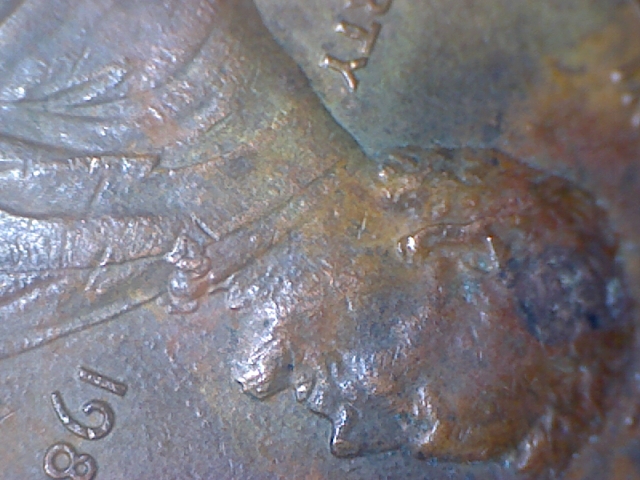 1984 Doubled Ear Variety (5).jpg