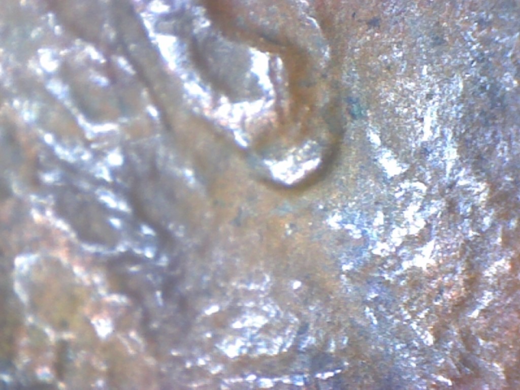 1984 Doubled Ear Variety (8).jpg