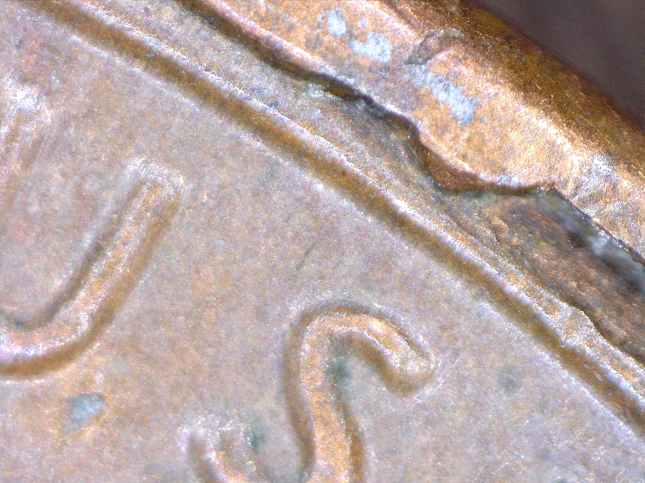 1984 MDS Cud (2).jpg