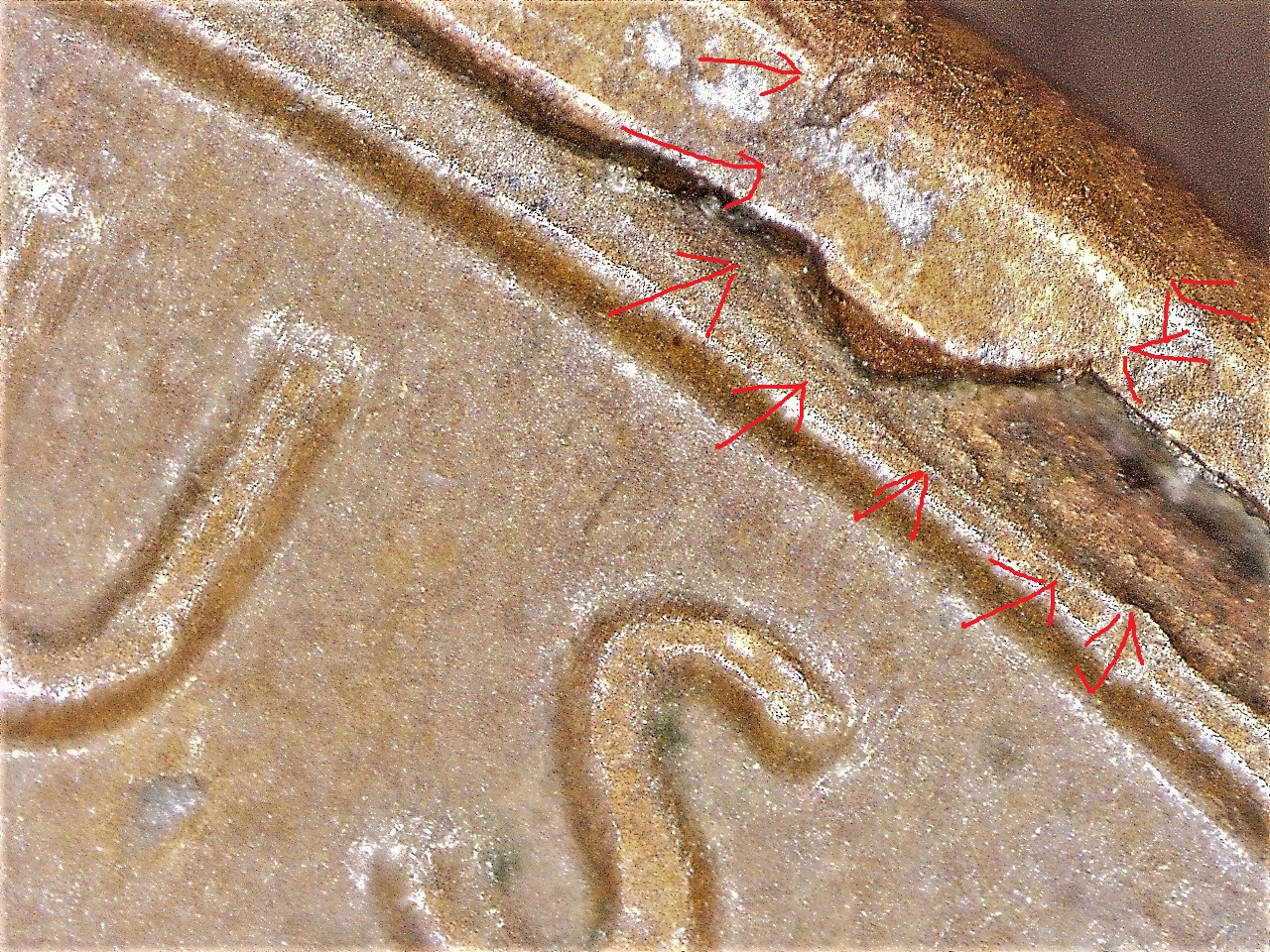 1984 MDS Cud (3)-1-3.jpg