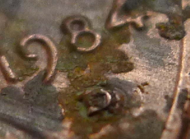 1984 Penny.png