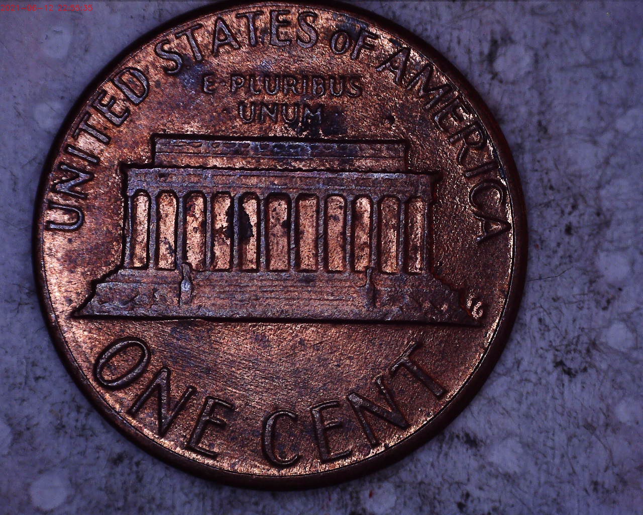 1984 reverse.jpg