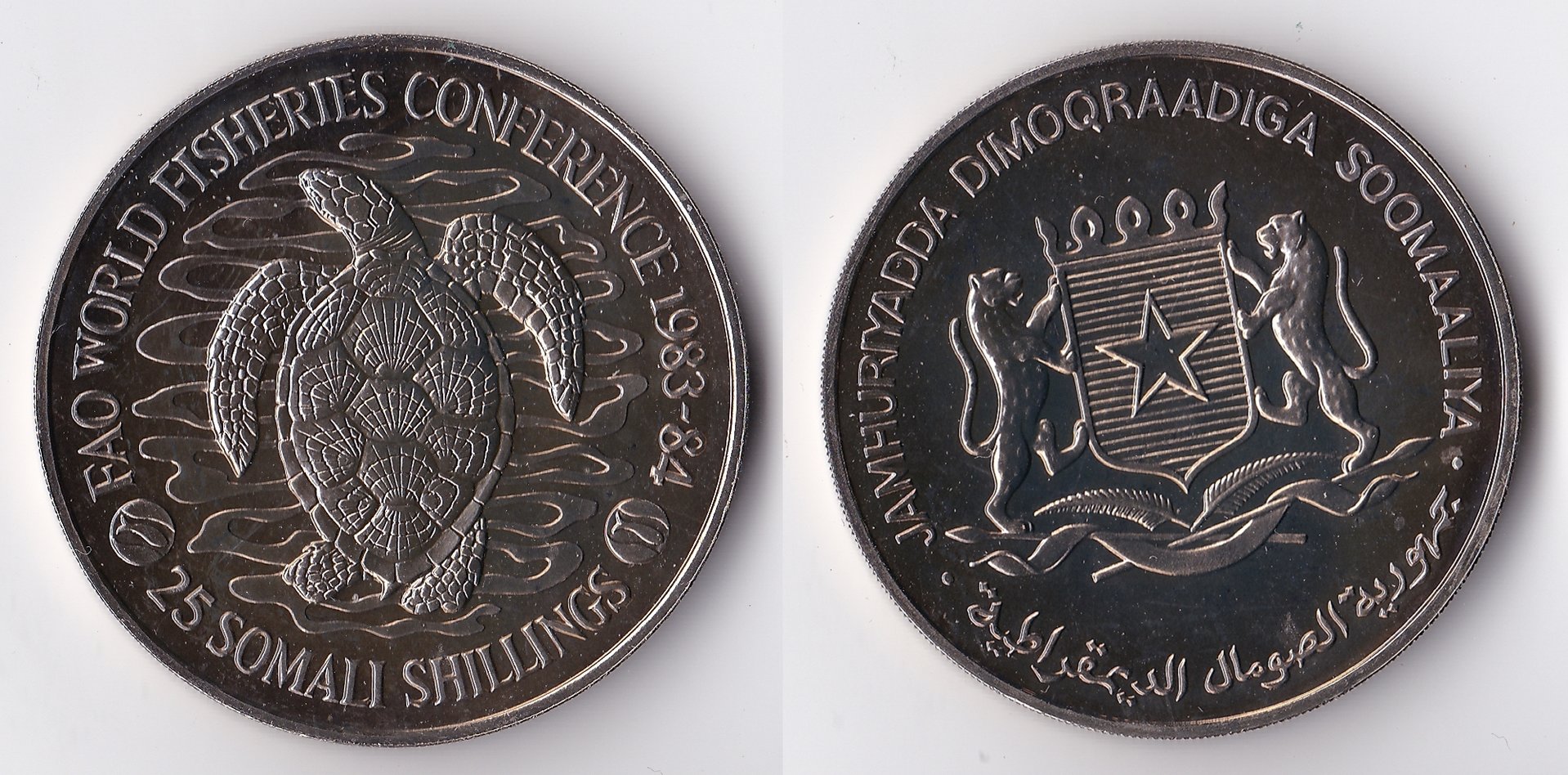 1984 somalia 25 shillings.jpg