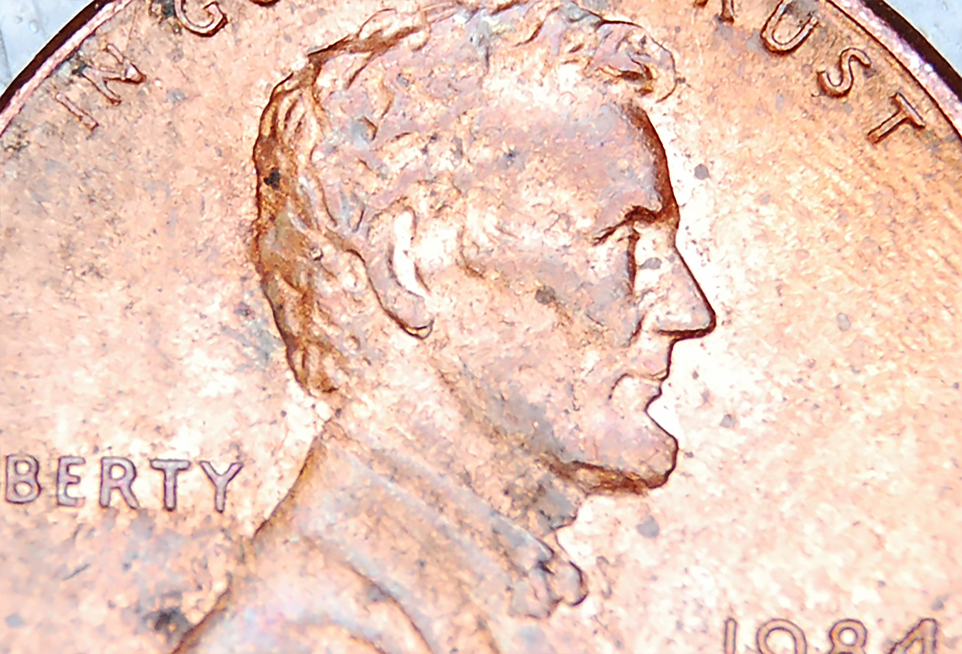 1984ddelight.jpg