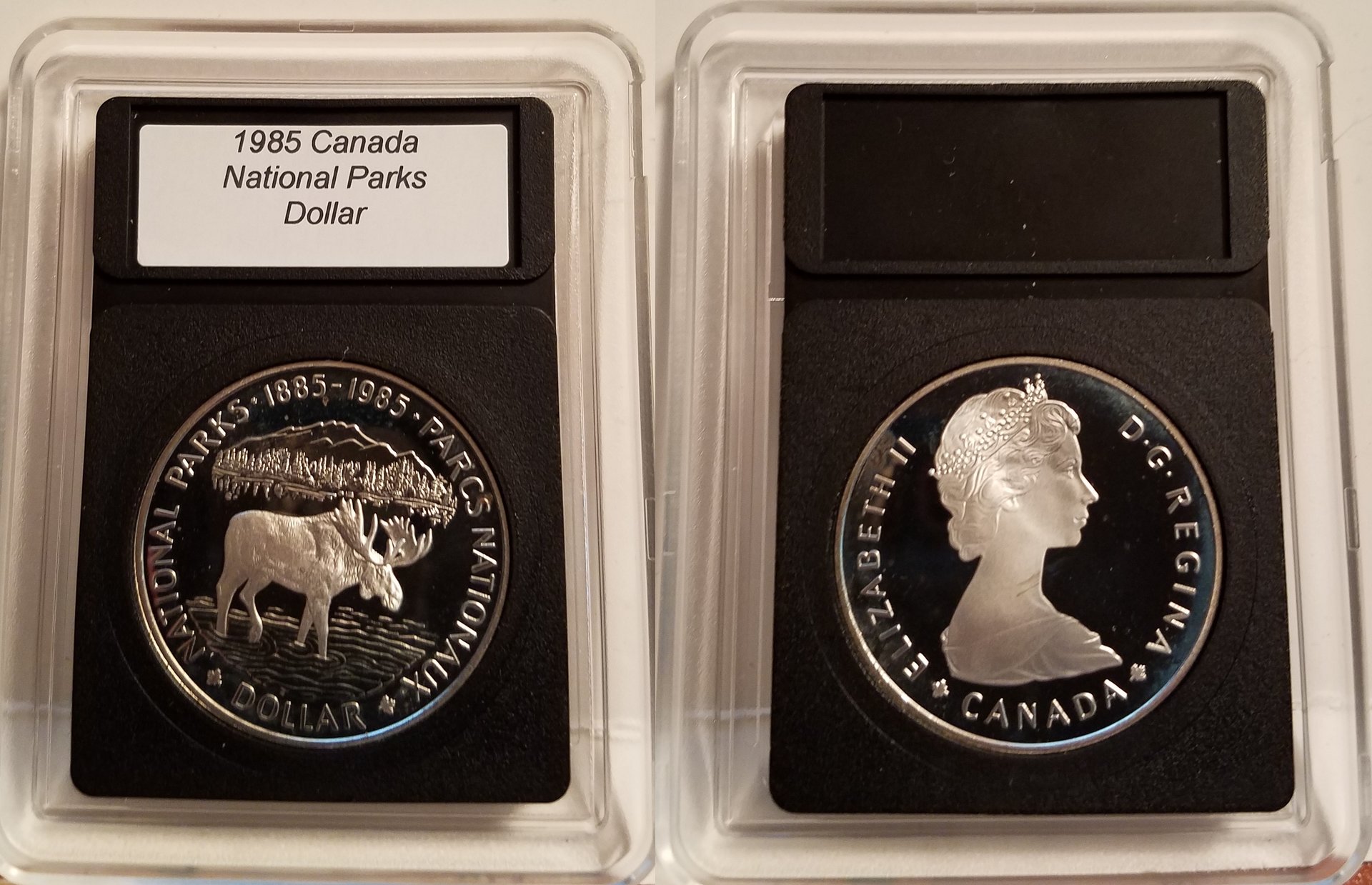 1985 Moose 1-horz.jpg