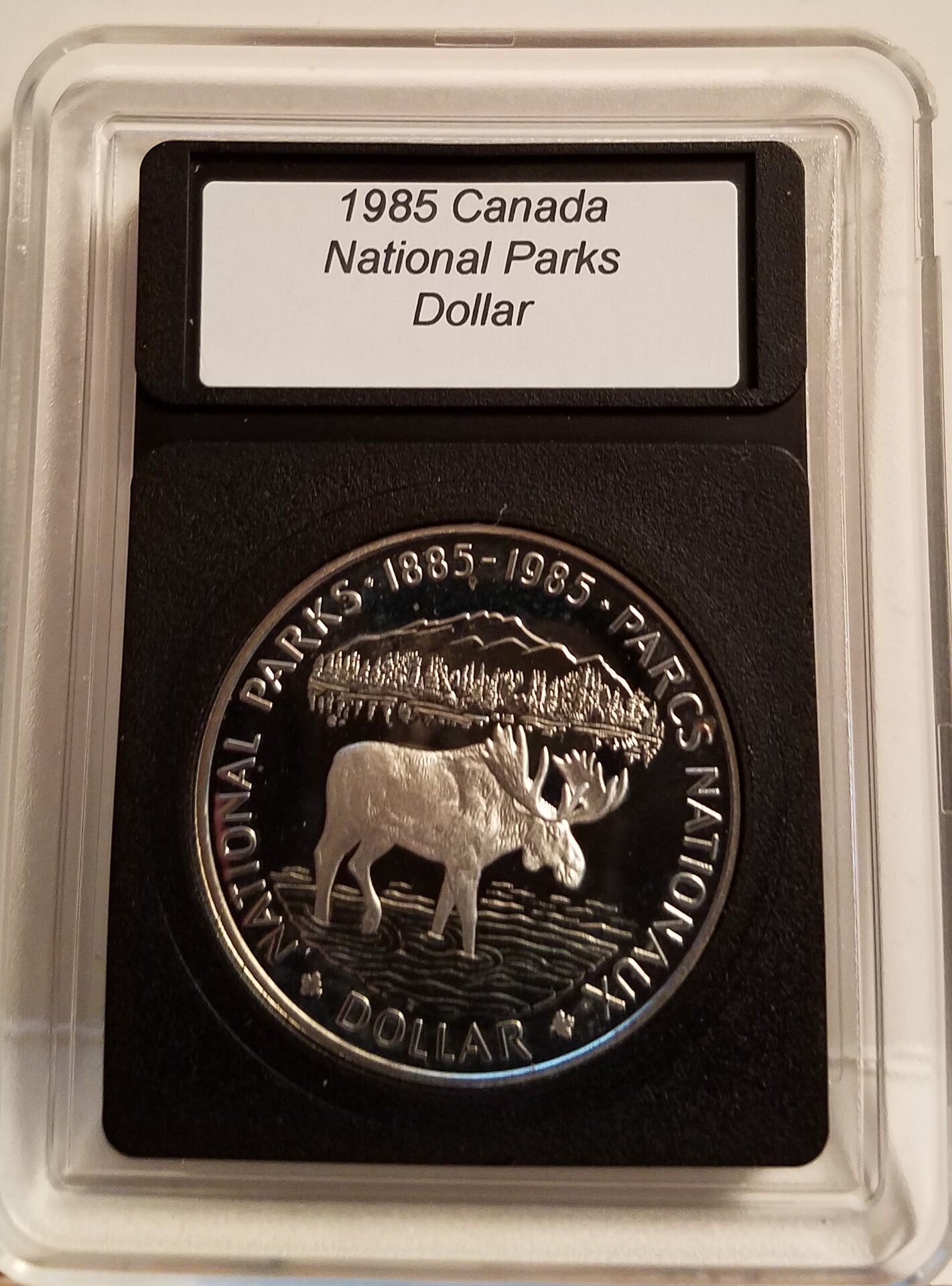 1985 Moose 1.jpg