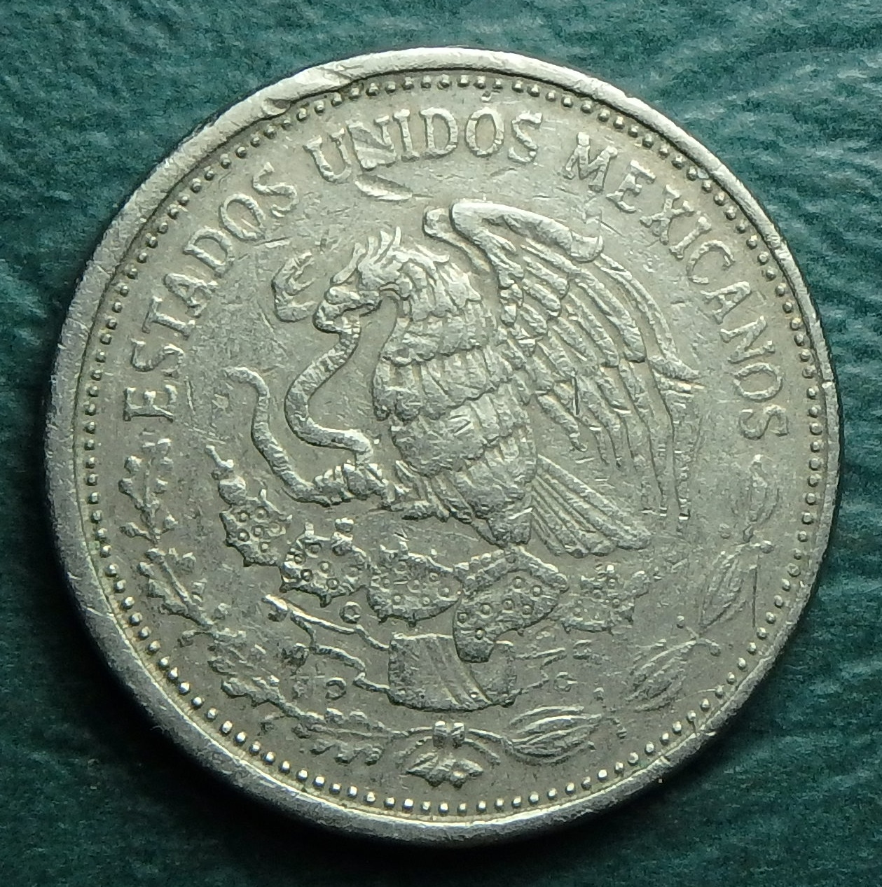 1985 MX 50 p rev.JPG