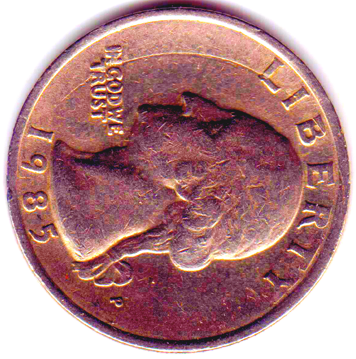 1985 P Error Quarter6.jpg