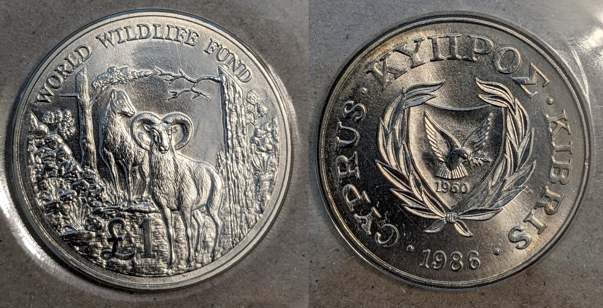 1986 cyprus 1 pound.jpg