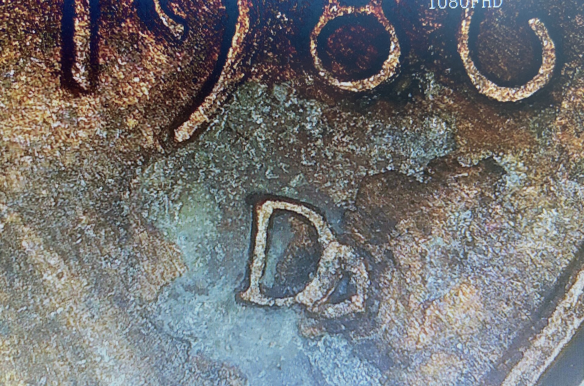 1986d-OMM2.jpeg